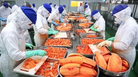 Hỗ trợ 10.000 doanh nghiệp tư nhân kinh doanh bền vững