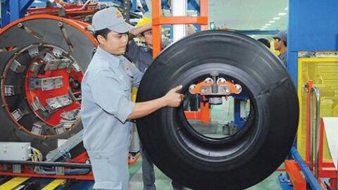 Săm lốp Casumina không hoàn thành kế hoạch năm