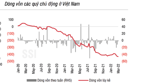 Giới đầu tư nâng tỉ trọng tiền mặt cao nhất kể từ tháng 5/2020