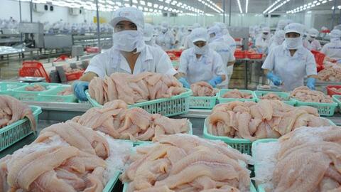 Kinh doanh ảm đạm, cá tra Nam Việt lấn sân sang bất động sản