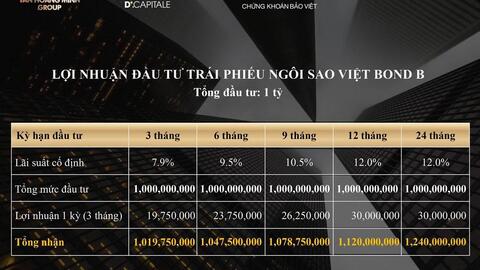 Tân Hoàng Minh huy động hàng nghìn tỷ trái phiếu cho những dự án nào?