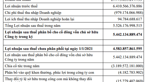 Masan Consumer không chia cổ tức, hướng tới mục tiêu lãi 5.900 – 6.800 tỷ đồng trong năm nay