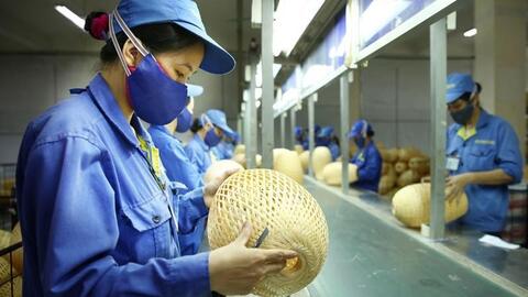 8 tháng, doanh nghiệp gia nhập và tái gia nhập thị trường đạt mức cao nhất từ trước tới nay