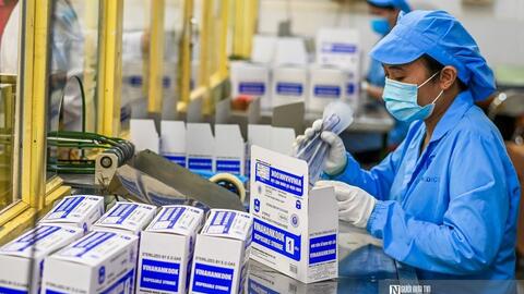 Bình quân mỗi tháng có hơn 12.000 doanh nghiệp rút khỏi thị trường
