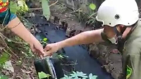 Đồng Nai: Người dân “than trời” vì nước thải xả ra cánh đồng