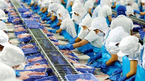 Nữ hoàng cá tra Vĩnh Hoàn "hụt hơi"