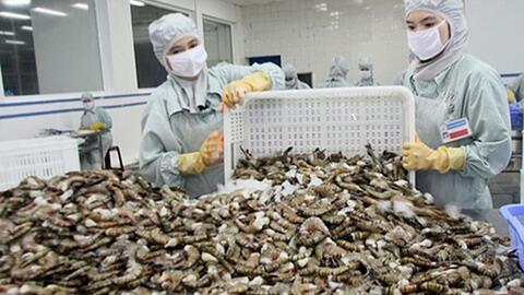 VASEP: Nhu cầu nhập khẩu tôm kỳ vọng tích cực hơn từ quý II/2023