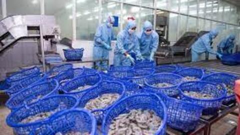 Sao Ta (FMC): Doanh thu quý I giảm đáng kể, lợi nhuận vẫn tăng vì đâu?