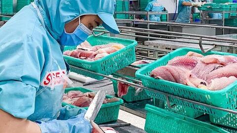 Doanh nghiệp thuỷ sản lao đao ngay trong quý đầu năm 2023