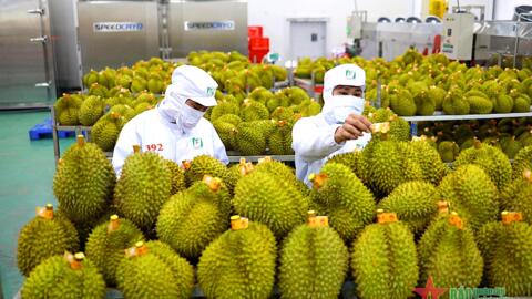 Nâng cao chất lượng hàng hóa để khai thác thị trường Trung Quốc