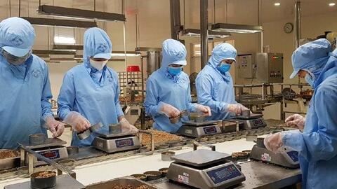 Cá ngừ đóng hộp Việt Nam "xuất ngoại" sang 68 thị trường