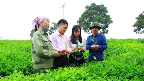 Nguồn vốn ủy thác sang Ngân hàng Chính sách xã hội đã vượt kế hoạch cả năm