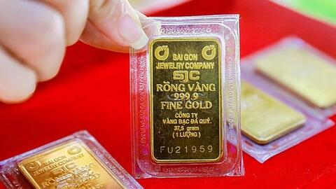 Hủy phiên đấu thầu vàng sáng nay 22/4