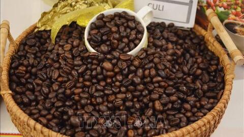 Giá cà phê hôm nay (26-8): Áp sát ngưỡng 120.000 đồng/kg