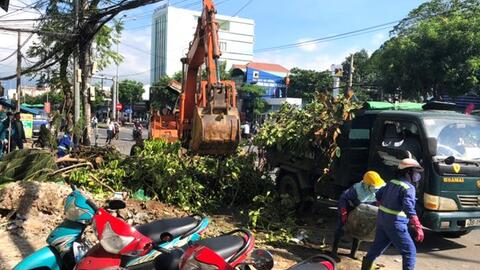 Cử 2 tổ công tác hỗ trợ cắt, tỉa, dọn dẹp cây xanh ngã đổ tại Hà Nội và Hải Phòng