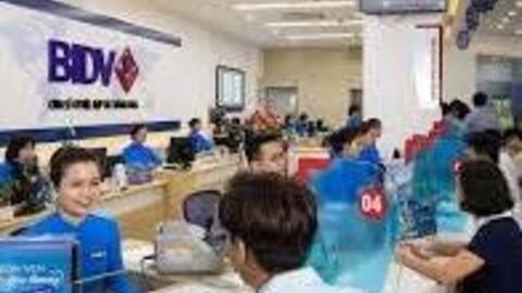 BIDV giảm lãi suất cho vay hỗ trợ khách hàng bị thiệt hại bởi cơn bão số 3 Yagi