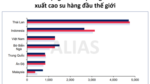 Giá cao su tăng cao, các doanh nghiệp nào hưởng lợi lớn nhất?