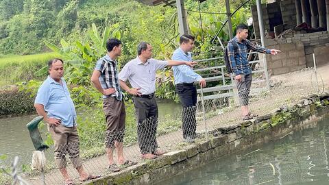 Mô hình nuôi cá Bống ở Phiêng Mường: Hướng đi mới trong giảm nghèo bền vững ở xã Quảng Lâm, Cao Bằng