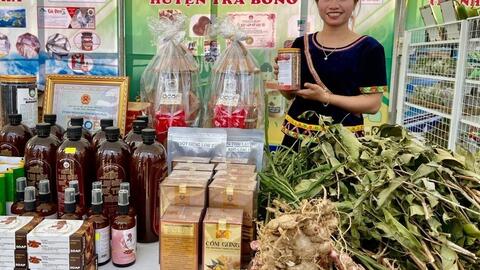 Nông sản vùng cao Quảng Ngãi vươn xa nhờ thương mại điện tử