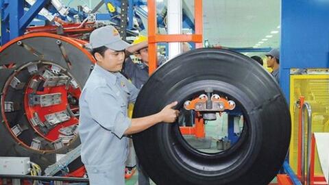 Săm lốp Casumina không hoàn thành kế hoạch năm