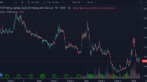 Về tay Thaco, HAGL Agrico vẫn lỗ nghìn tỷ