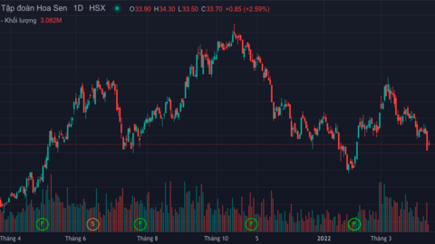 Dính tin đồn thanh tra hoạt động trái phiếu, Hoa Sen nói gì?