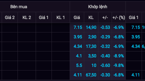 HoSE đưa 3 cổ phiếu vào diện cảnh báo