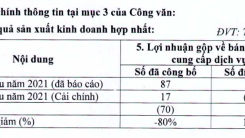 Những khoản lỗ trăm tỷ gây bất ngờ của doanh nghiệp họ FLC