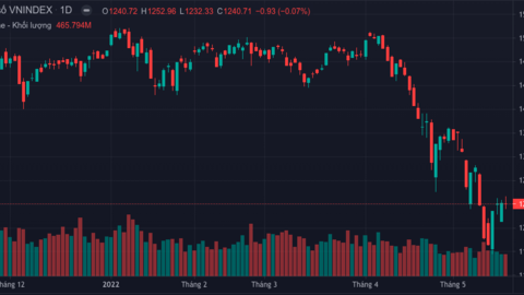 Chứng khoán lao dốc, tài sản 7 tỷ phú USD Việt Nam biến động ra sao?
