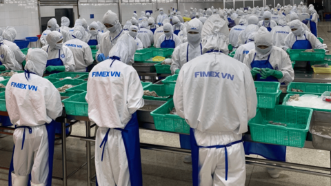 Cổ phiếu giảm sàn, Giám đốc Sao Ta bày tỏ "rất lấy làm tiếc"