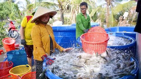 Sao Ta chi 110 tỷ đồng thâu tóm công ty thuỷ sản vốn 21 tỷ đồng