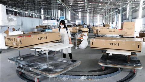 Lạm phát níu xuất khẩu gỗ