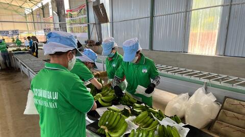 HAGL mua lại 605 tỷ đồng trái phiếu trước hạn