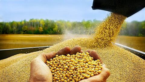 Bộ Tài chính xem xét giảm thuế nhập khẩu khô đậu tương