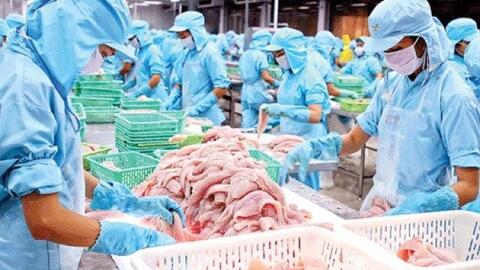 Thuỷ sản Nam Việt lên kế hoạch lợi nhuận đi lùi năm 2023