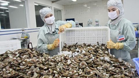 VASEP: Nhu cầu nhập khẩu tôm kỳ vọng tích cực hơn từ quý II/2023