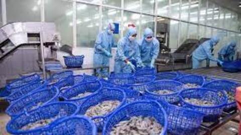 Sao Ta (FMC): Doanh thu quý I giảm đáng kể, lợi nhuận vẫn tăng vì đâu?