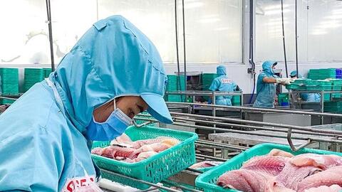 Doanh nghiệp thuỷ sản lao đao ngay trong quý đầu năm 2023