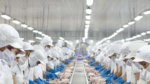 Doanh thu tháng 4 của Vĩnh Hoàn trượt dài