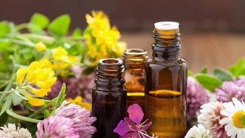 Bộ Y tế thu hồi toàn quốc lô tinh dầu hoa bưởi  