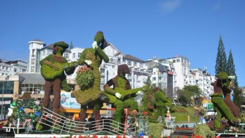 Đà Lạt công bố nhiều dự án thúc đẩy sáng tạo trong lĩnh vực âm nhạc