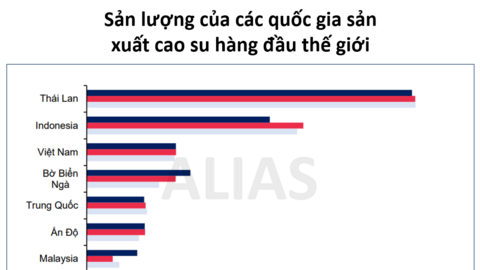 Giá cao su tăng cao, các doanh nghiệp nào hưởng lợi lớn nhất?