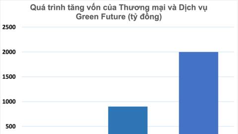 Công ty con trai tỷ phú Phạm Nhật Vượng tăng vốn gấp 10 lần