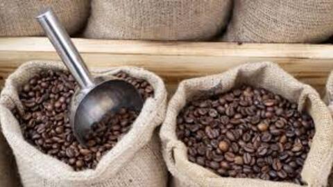Giá cà phê Robusta tăng hơn 1,1% lên mức 3.660 USD/tấn