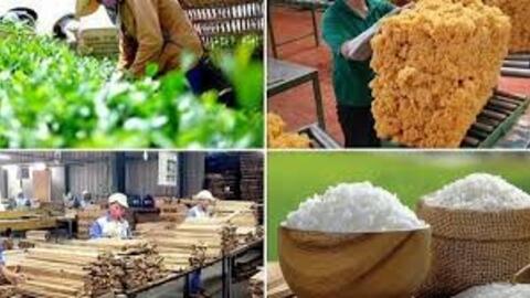 Nửa đầu năm 2025, xuất khẩu nông, lâm, thủy sản thu về 33,84 tỷ USD