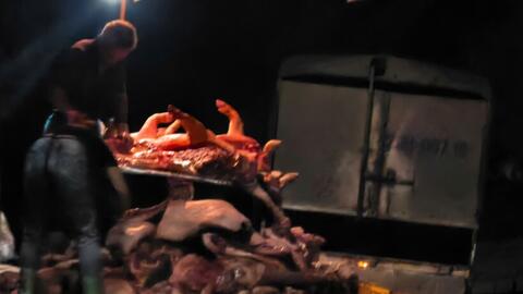 Hà Nội: Triệt phá đường dây mổ hàng nghìn con lợn bệnh