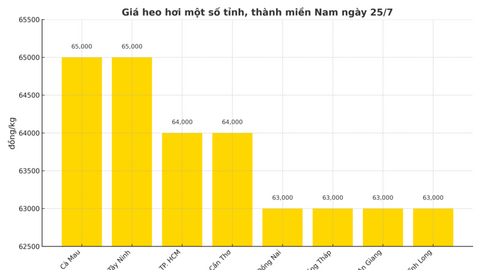 Giá heo hơi hôm nay ngày 25/7/2025: Chững giá sau chuỗi ngày giảm liên tiếp