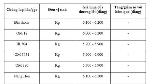 Giá lúa gạo hôm nay ngày 14/8: Gạo đi ngang, lúa tươi vững giá