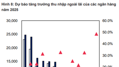Sự khởi sắc của các ngân hàng bán lẻ