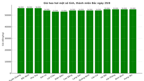Giá heo hơi hôm nay 29/8/2025: Miền Bắc bất ngờ đảo chiều tăng